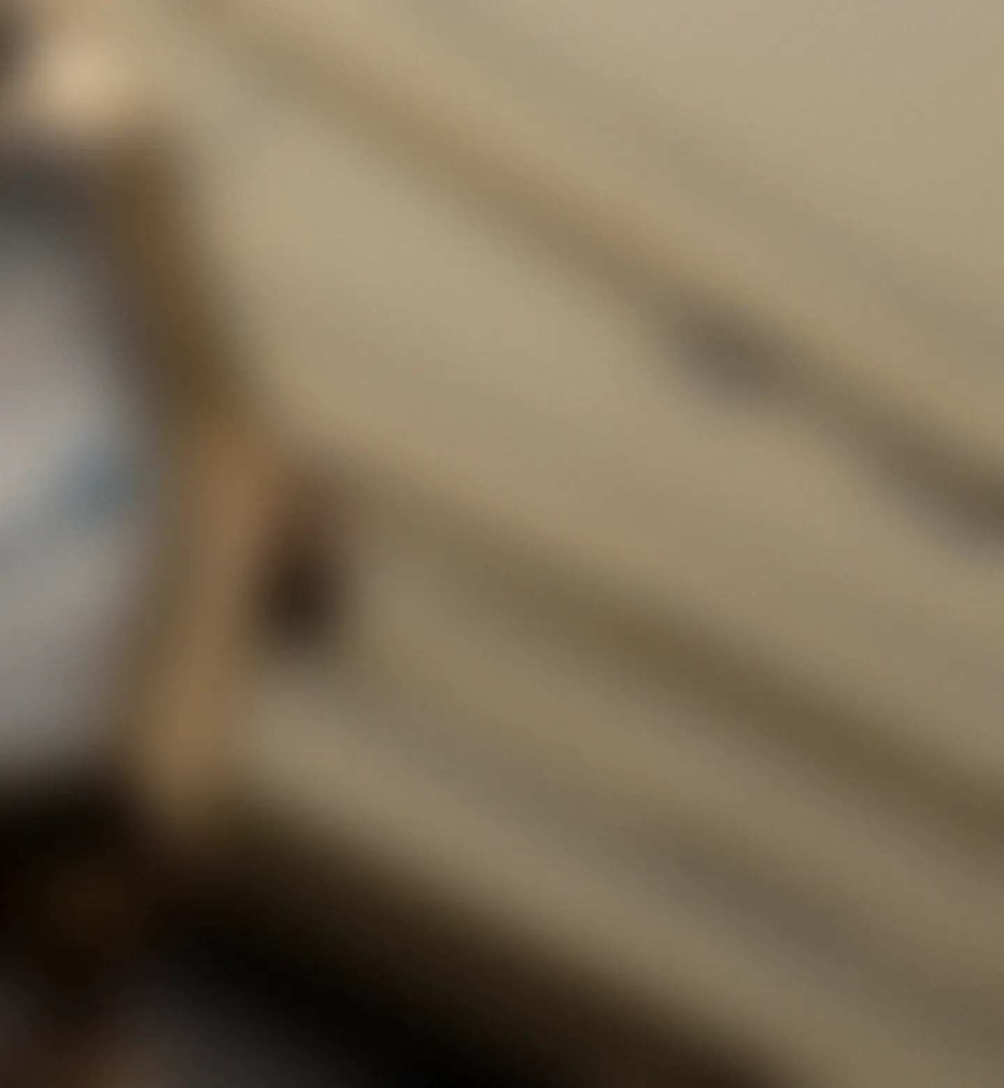 Roger Dubuis background