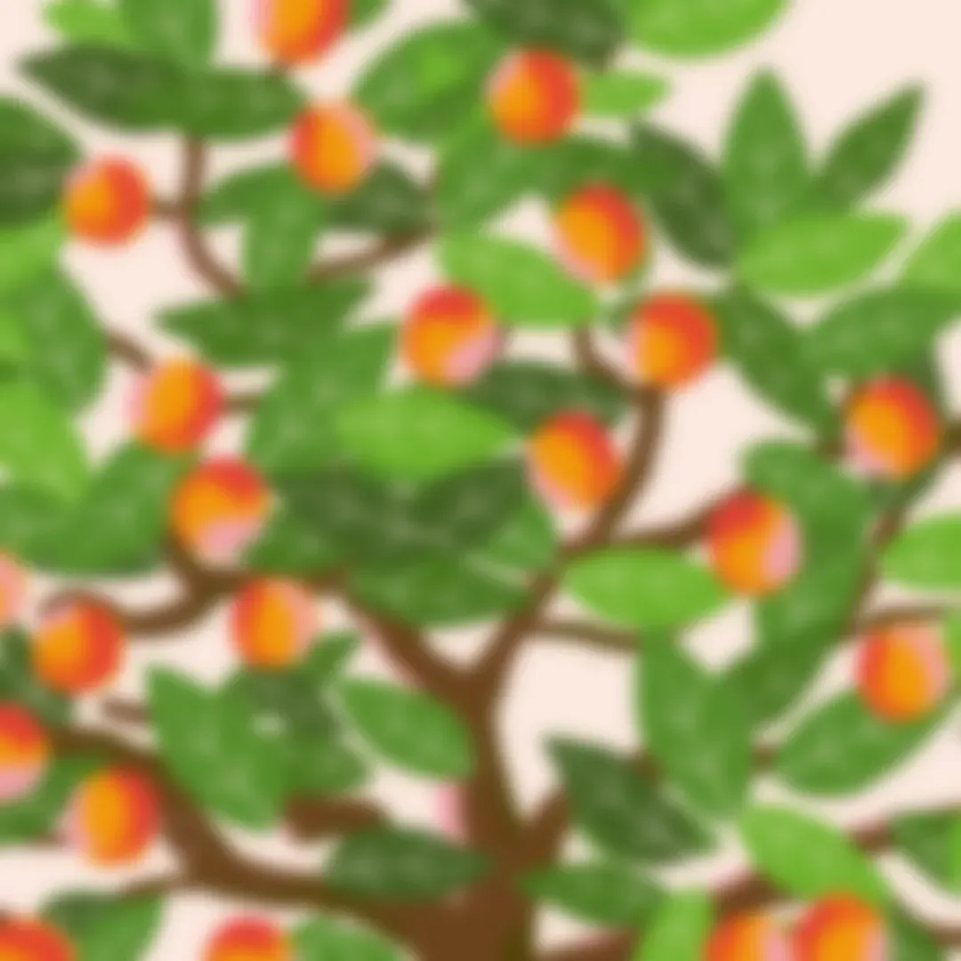 TDH OV - 2021 background